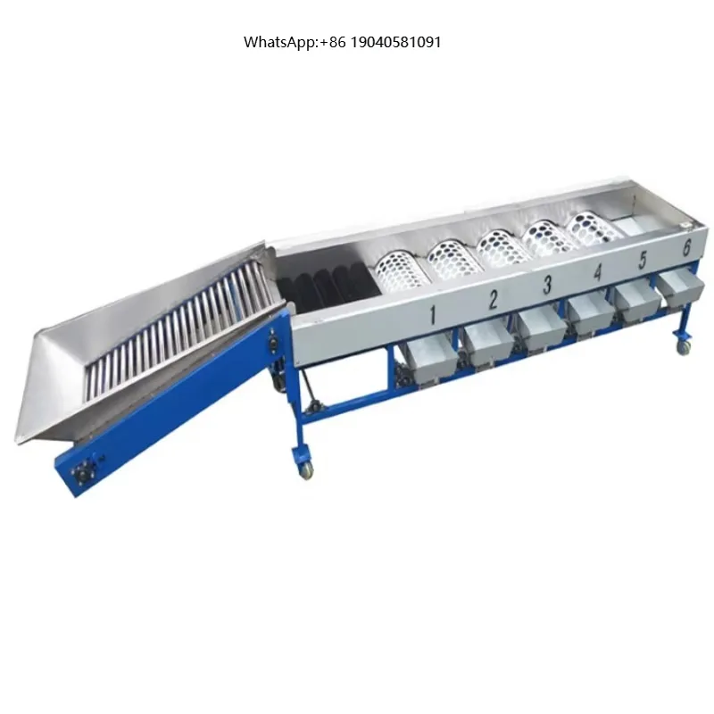 Flexible Operation Sorting Machine  Size Sorting Machine