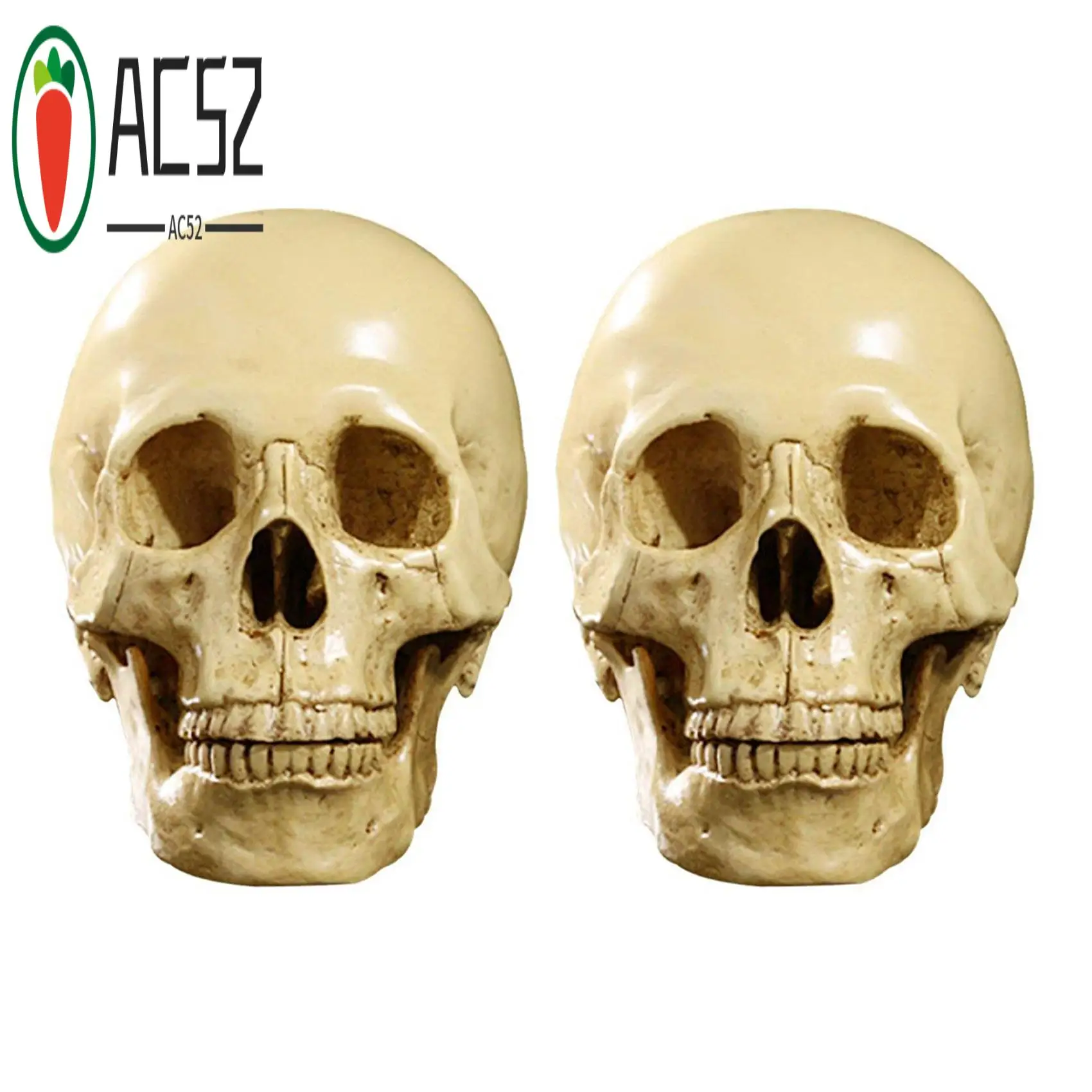 

AC52-2X Model 1: 1 Resin Human Skull Anatomical Teaching Decoration Yellow