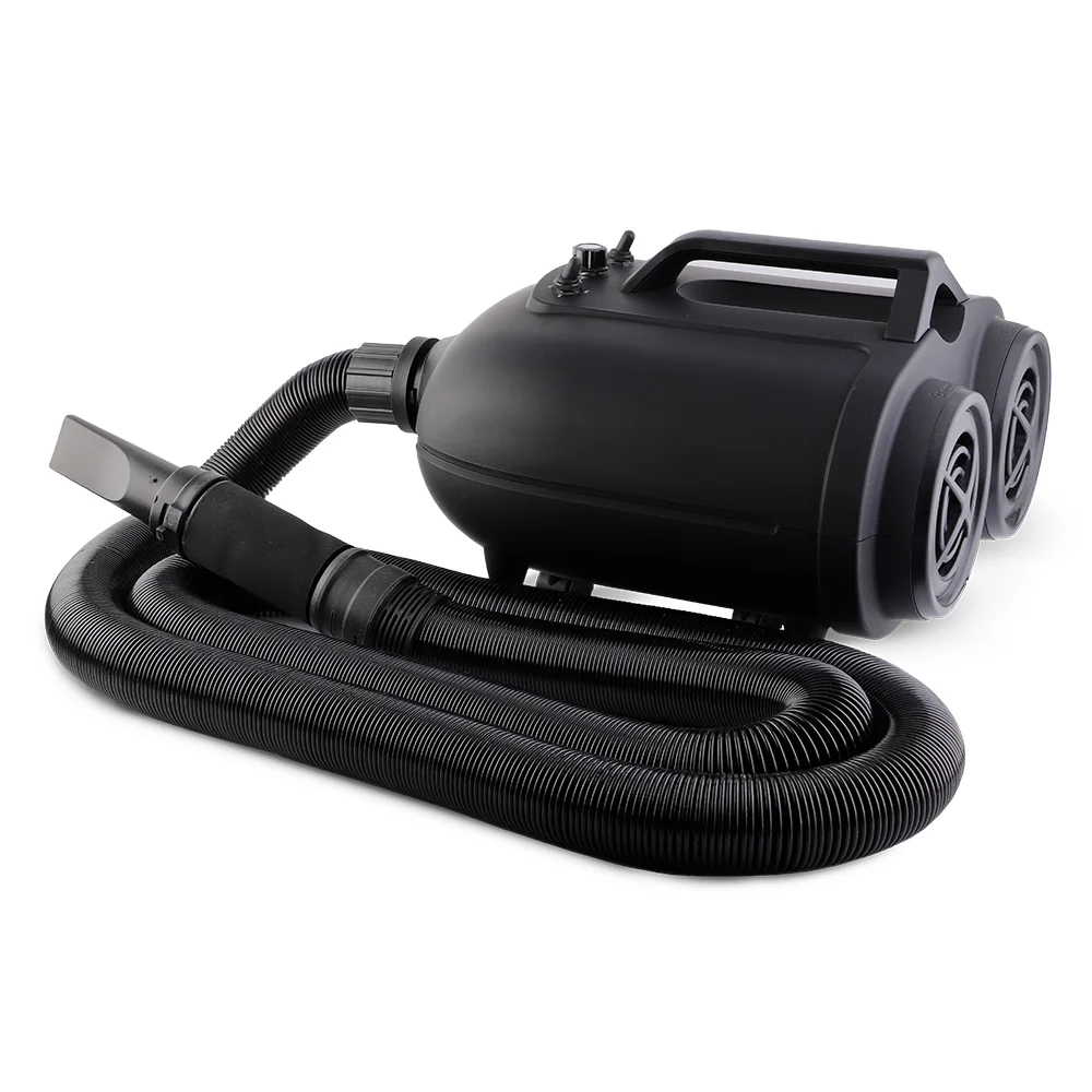 Spta New Double Motor Car Detailing Air Blower Auto Dryer with 3 Nozzles Fast Dryer Car Accessories