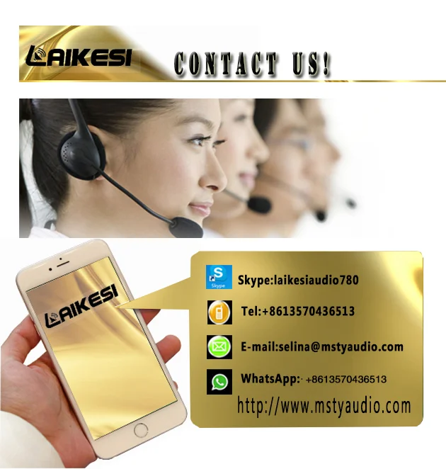 Lex Professional KTV Stage Handheld Sound System Dynamic Professional Wireless Microphone Noise Cancelling Microphone