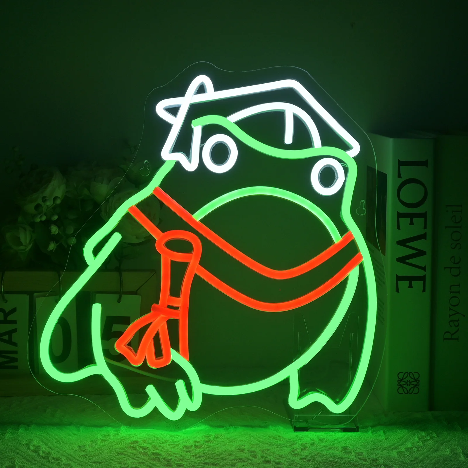 Toad Graduated Neon Sign Wall Decor Led Neon Light Bedroom Suitable for Classroom Book Library Reading Room Bookish Decor