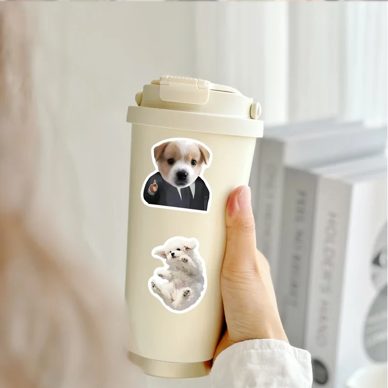 50 ملصقًا ممتعًا للكلاب، شارات لاصقة نابضة بالحياة، أنماط متعددة بدون مكررة، مناسبة لزجاجات المياه وأجهزة الكمبيوتر المحمولة وحقائب السفر وألواح التزلج والقيثارات وديكورات الحفلات