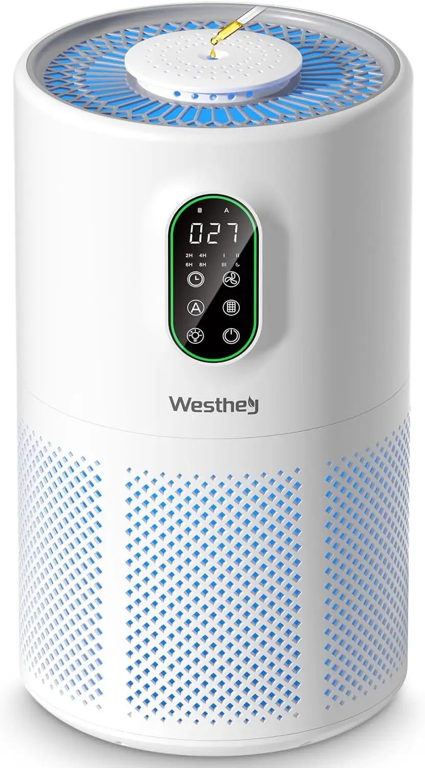 Air Purifiers For H… - image