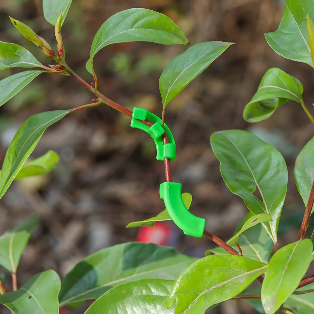 Pinzas de 90 grados para entrenamiento de bajo estrés, 36 piezas, pinzas LST para enrejados de plantas, Kits de crecimiento