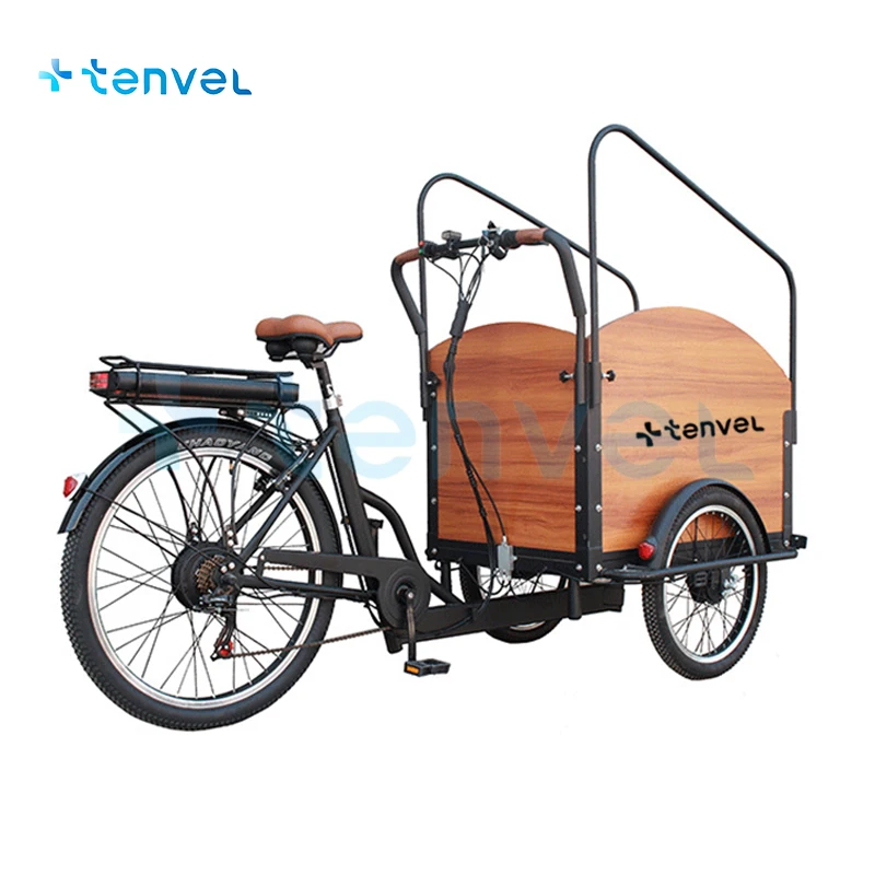 Tenvel cargo trike for sale Electric Cargo Bike Three Wheels Carries person or things electric tricycle cargo trike for a