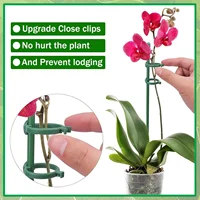 Versatile Plant Support Set Garden 40 Pieces Caps Clips Stake Kit Indoor Outdoor Gardening Healthy Growth Plant Support System 3