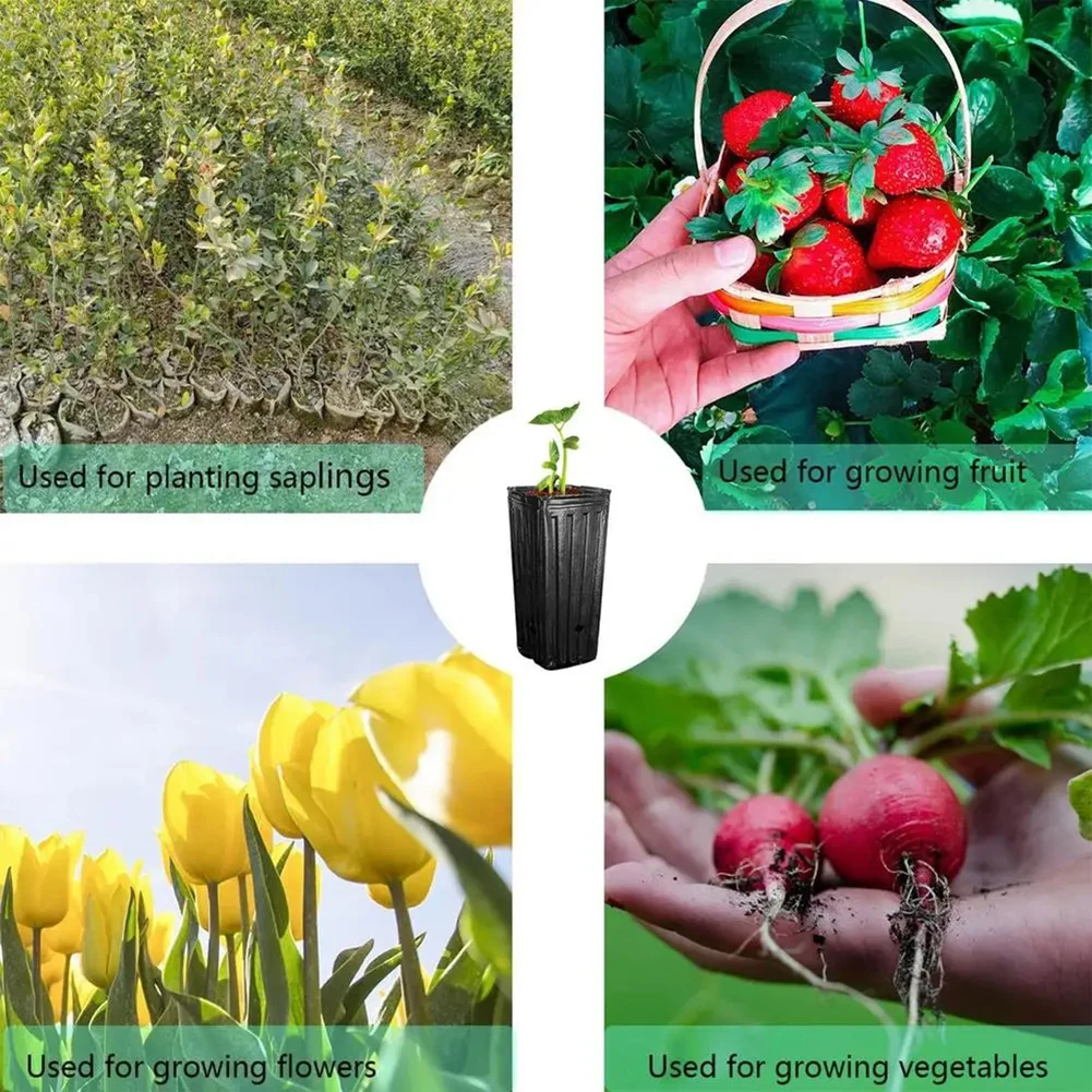 Tall Square Plant Seeding- Planting Cup Plastic Deep Nursery Tree Pot Flower Plant Container Pot Garden Transplant Grow Bags