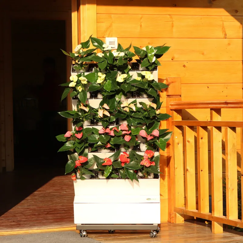 Véritables plantes vertes écologiques, support de fleurs mobile à roulettes, équipement végétal hydroponique de balcon