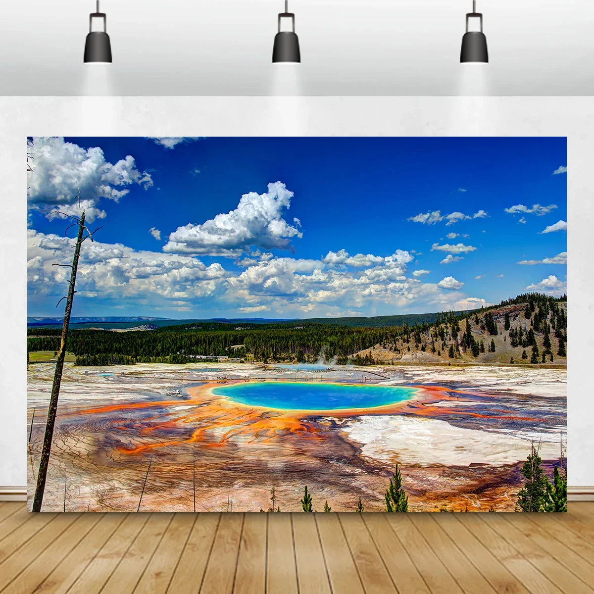 Yellowstone National Park Backdrop Beautiful Places Nature Animal Mount School Wall Art Photography Background Party Bar Decor