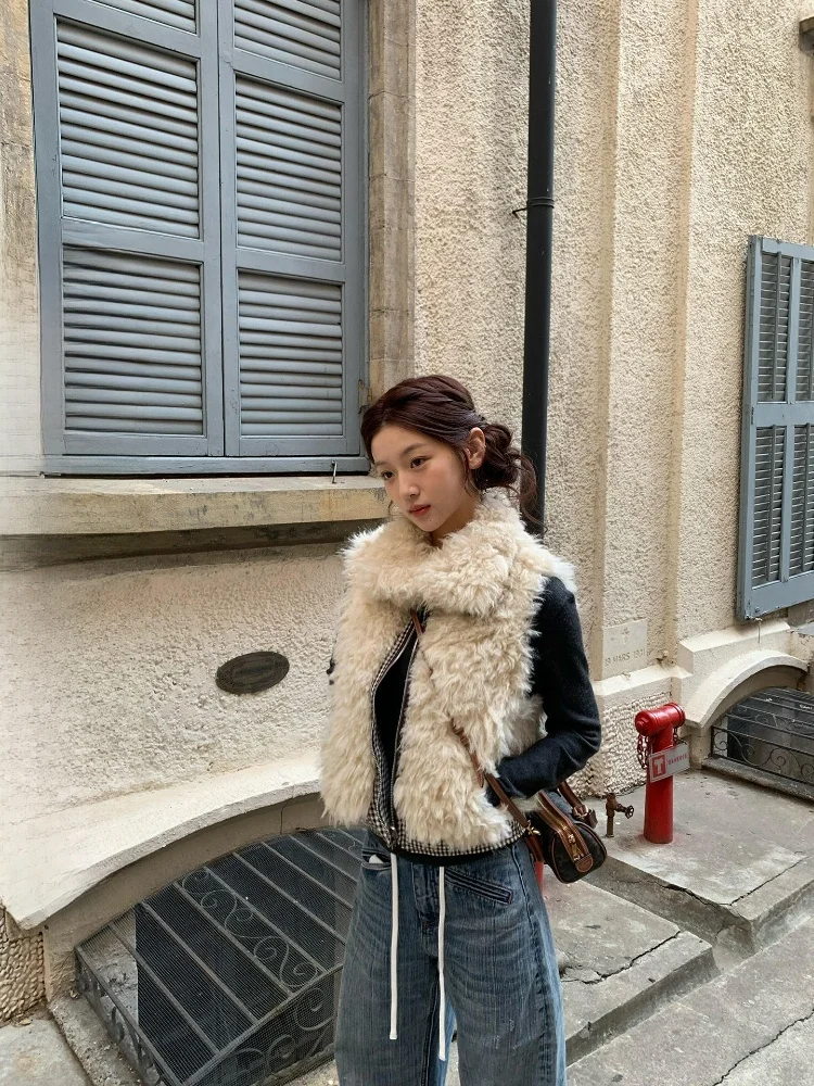 

Ретро клетчатый двусторонний высокий воротник на молнии, меховой жилет, топ, теплый уютный жилет для поездок на работу, обычный тонкий осень 2025 г.