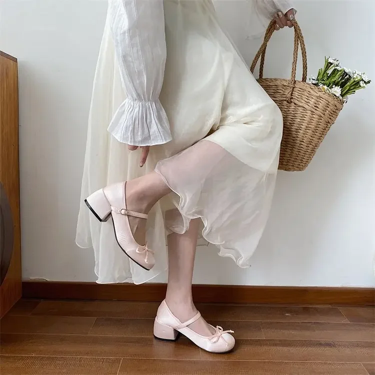 Spring Autumn Mary Jane Fashion Shallow Round Toe Mid Heel Shoes Ladies Elegant Outdoor Single Pumps Womens Shoes
