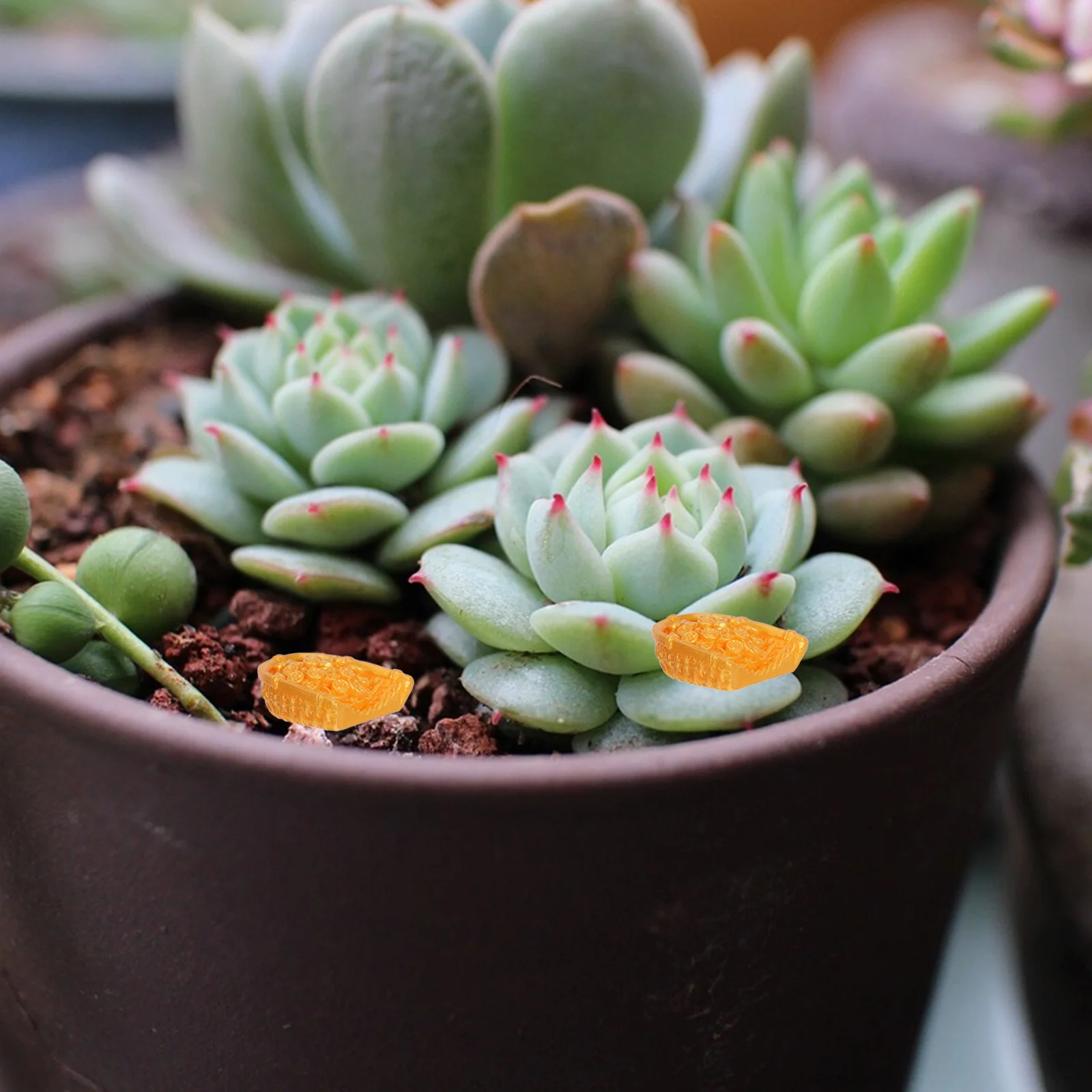 

10pcs Resin Ingot Crafts Mini Landscape Ornament For Diy Desktop Home Decor Chinese New Year Micro Garden Wealth Symbol Spring