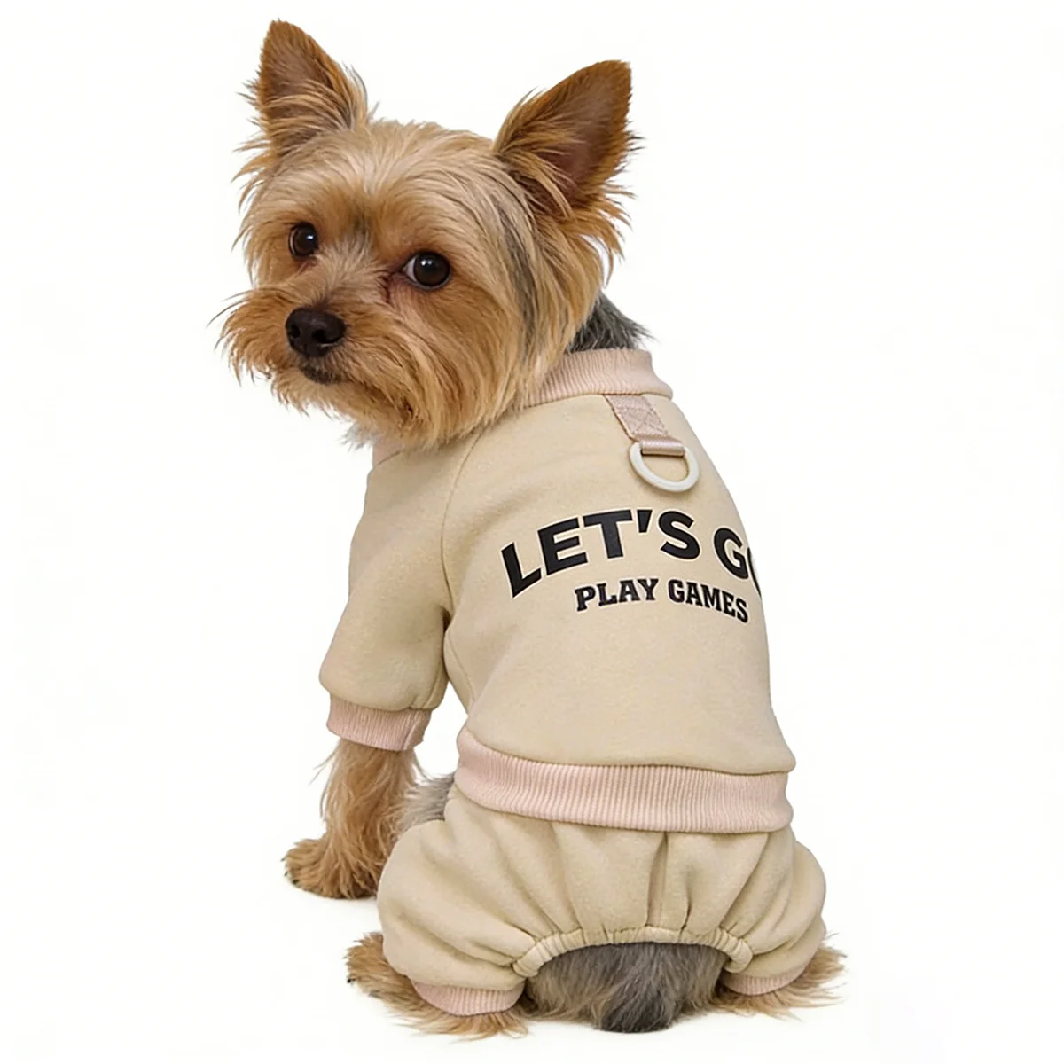 #44 Latest Pet Winter Clothing Offers
