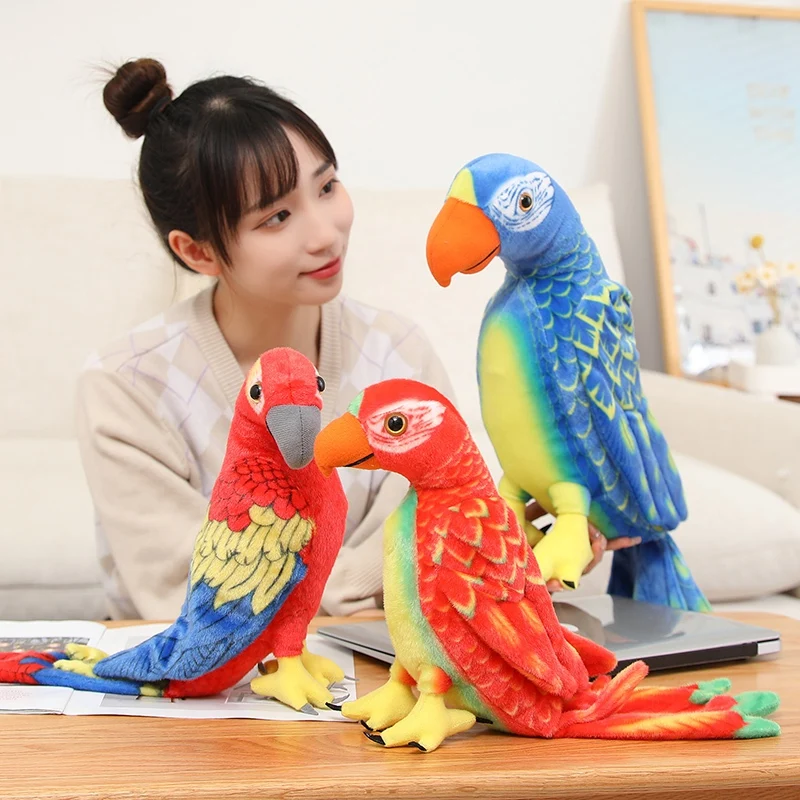 50/70cm carino pappagallo realistico peluche peluche morbido Kawaii simulazione bambole di uccello per bambini ragazze regalo di compleanno del