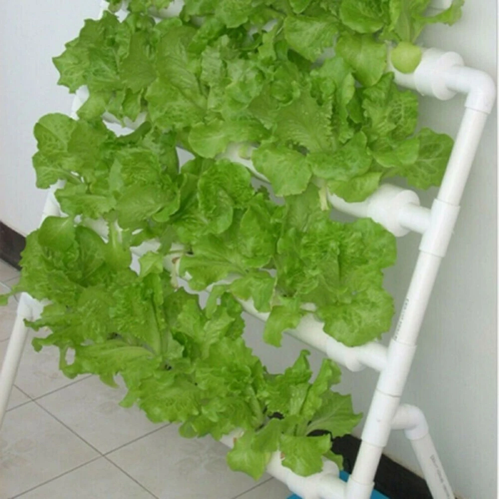 Net Cup Containers with Root-Guiding Slotted Design and Sponge Blocks for Consistent Moisture and Aeration in Hydroponics