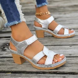 Shoes for Women 2024 Summer Thick Heel Women's Sandals Open Toe High Heels Casual Roman Sandals Ladies Gold Platform Sandalias