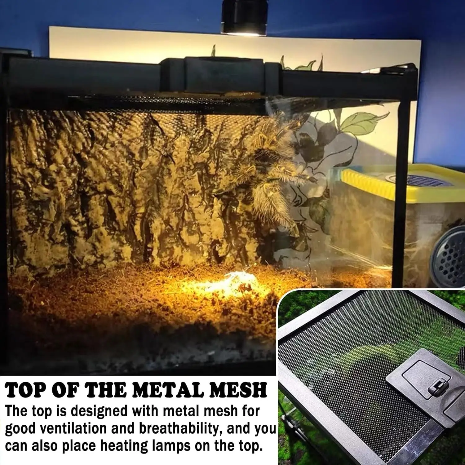 خزان الزواحف، 8 بوصة × 8 بوصة × 6 بوصة تررم الزواحف الصغيرة، خزان زجاجي سحلية شابة كاملة، حاوية موئل برمائية صغيرة قفص الرتيلاء