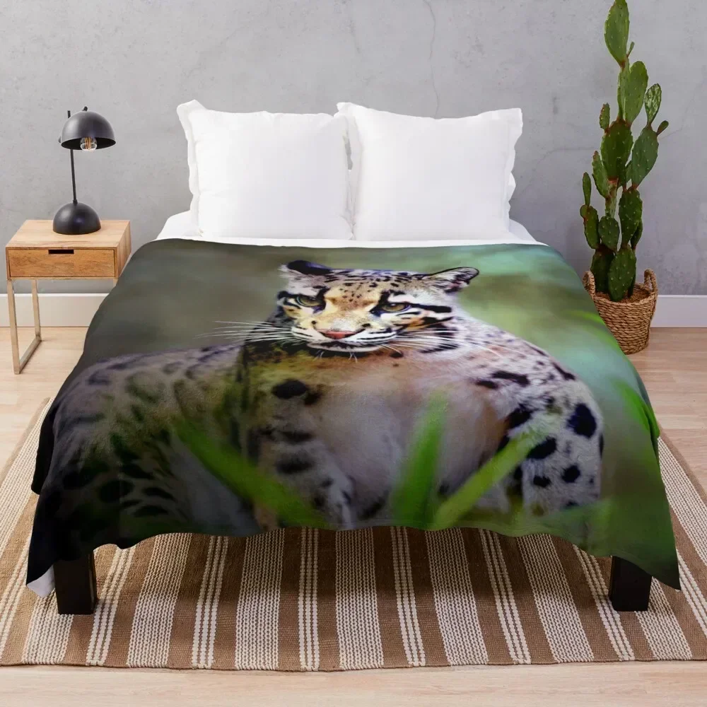 

Clouded Leopard Cub Throw Blanket Color Fast Cozy Throw Blanket