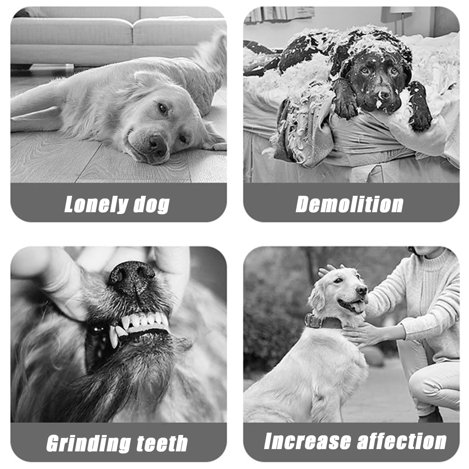 Thumbnail 4 - #4 Trending Rubber Dog Toys Right Now