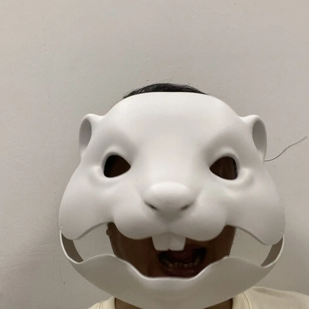 

Semi Realistic Animal Suit base Skull, Marmot and Otter Rodentia Family, Complimentary Upper and Lower Teeth Movable Jaw