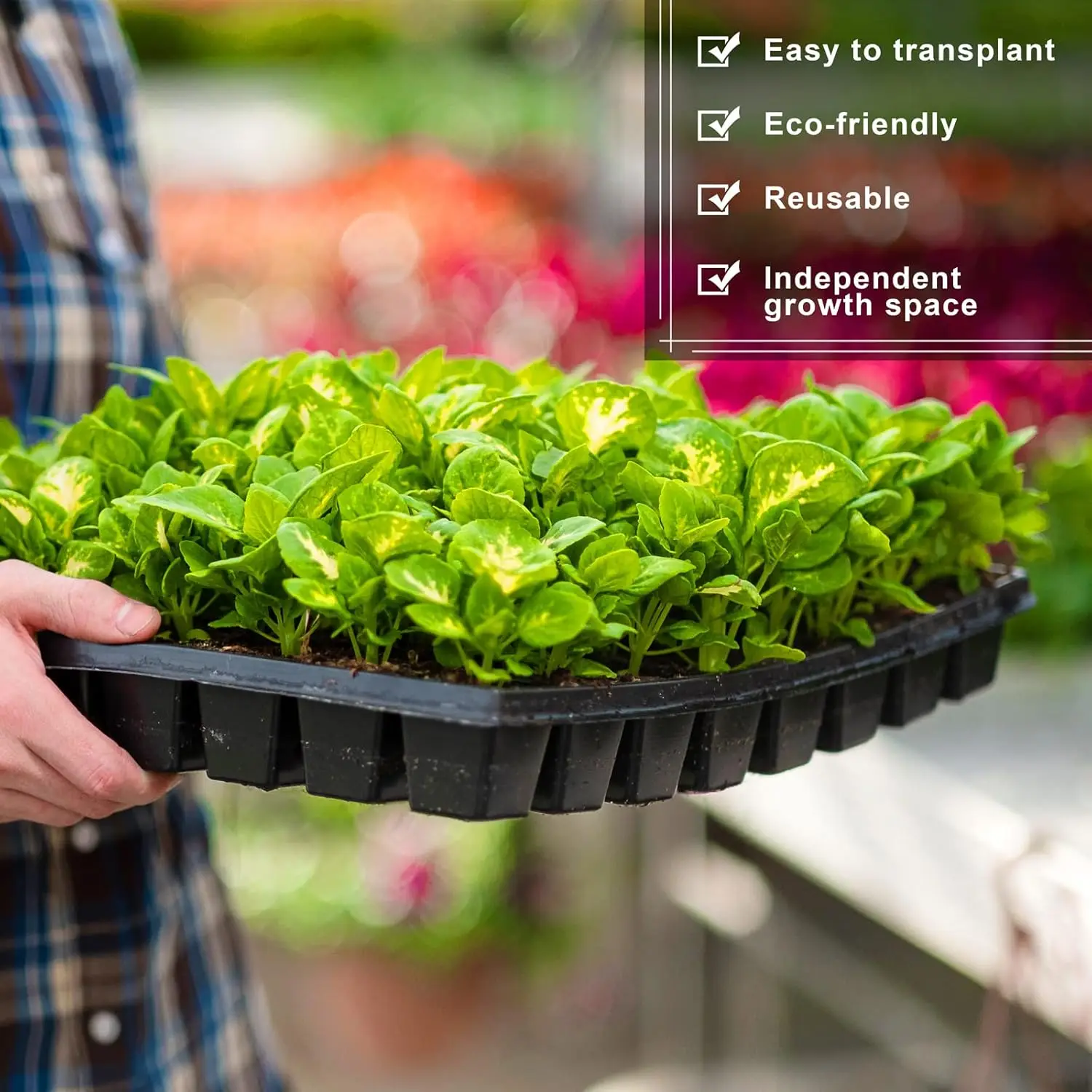 مجموعة صواني بداية البذور 72 خلية 1080 خلية نباتات صغيرة للحديقة إنبات النباتات 21.3 × 11 بوصة أواني الحضانة