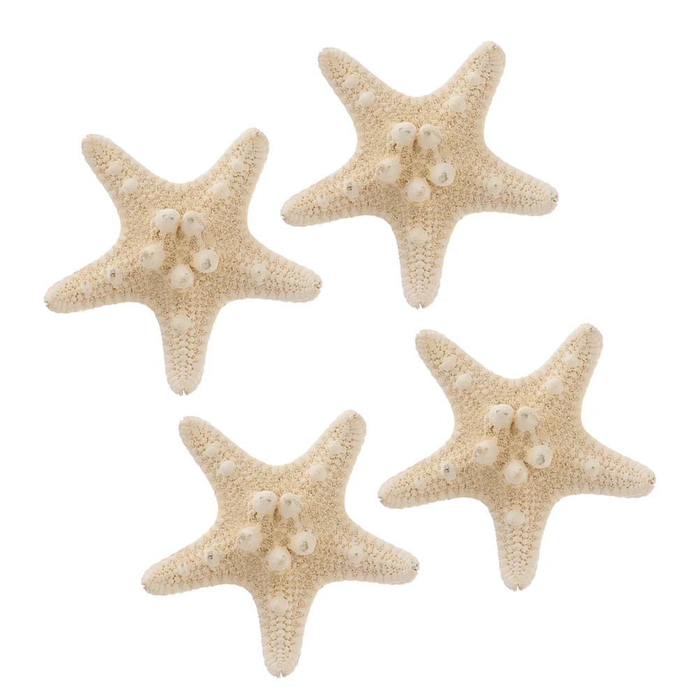 

Conch Shell Decorative Buns Natural Sea Stars Home Accent Craft Flat for Decoration DIY Beach Pet