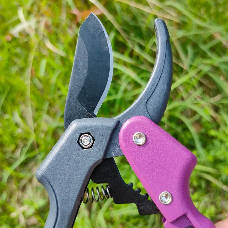 BIESUO SK5 Pruning Scissors Gardening Scissors Save Effort Sharp Fruit Tree Pruning Professional Orchard Gardening Tools