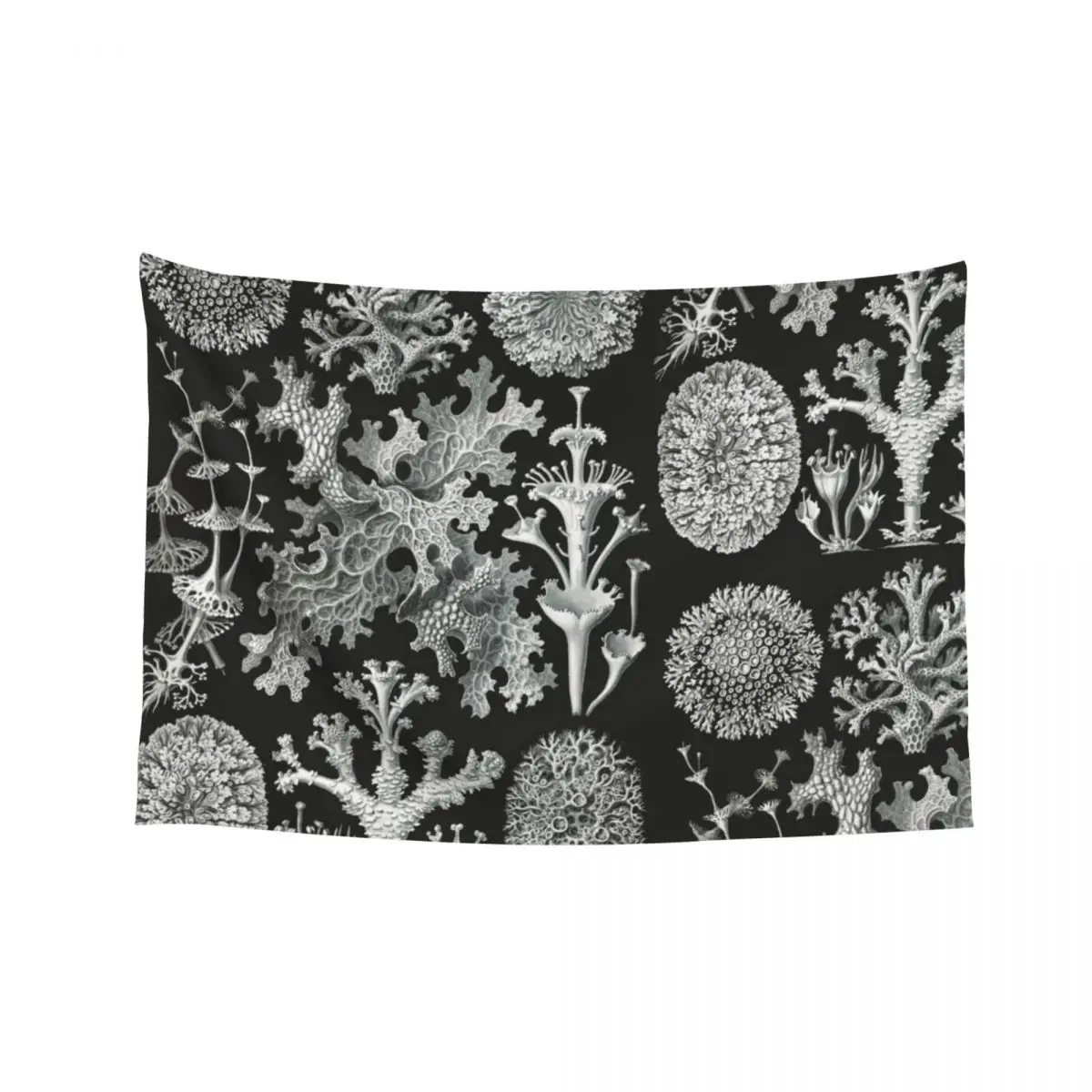

Lichenes–Flechten Tapestry Cute Room Decor Wall Coverings Wall Decorations Living Room Decoration Tapestry