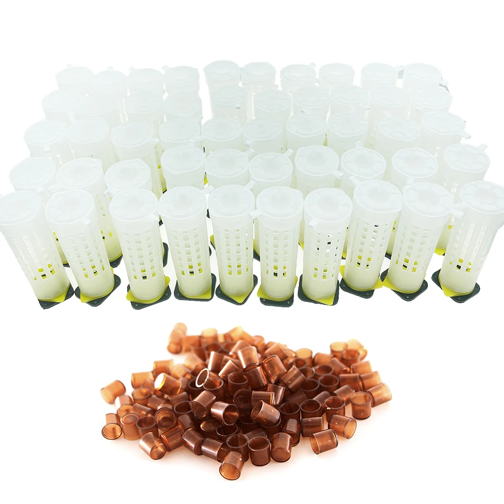 

50PCS Nicot Plastic Cover Cage For Sealed Cells Introduction Virgin Queen To Colony Protection Anti Bite Beekeeping Products