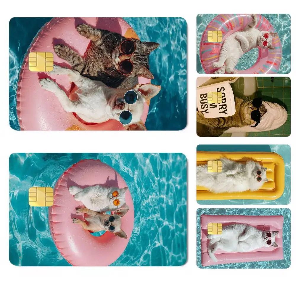 Funny Cat Daily Life-e Credit Card HD Stickers Premium matte film effectively prevents fingerprints and daily abrasion.