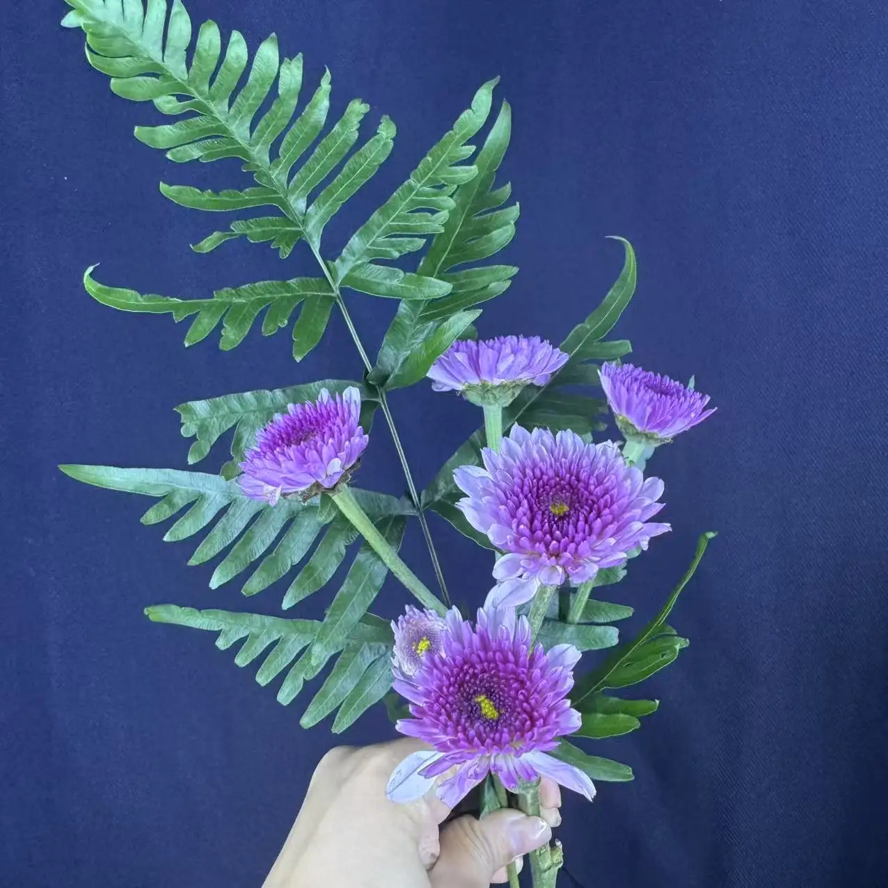 

2025 New 14.8V Vacuum Cleaner Robot Battery 2.8Ah/4.8/6.8Ah, 18650 4S1P, Mamibot EXVAC660, DEXP MMB-300, Gutrend Fusion 150