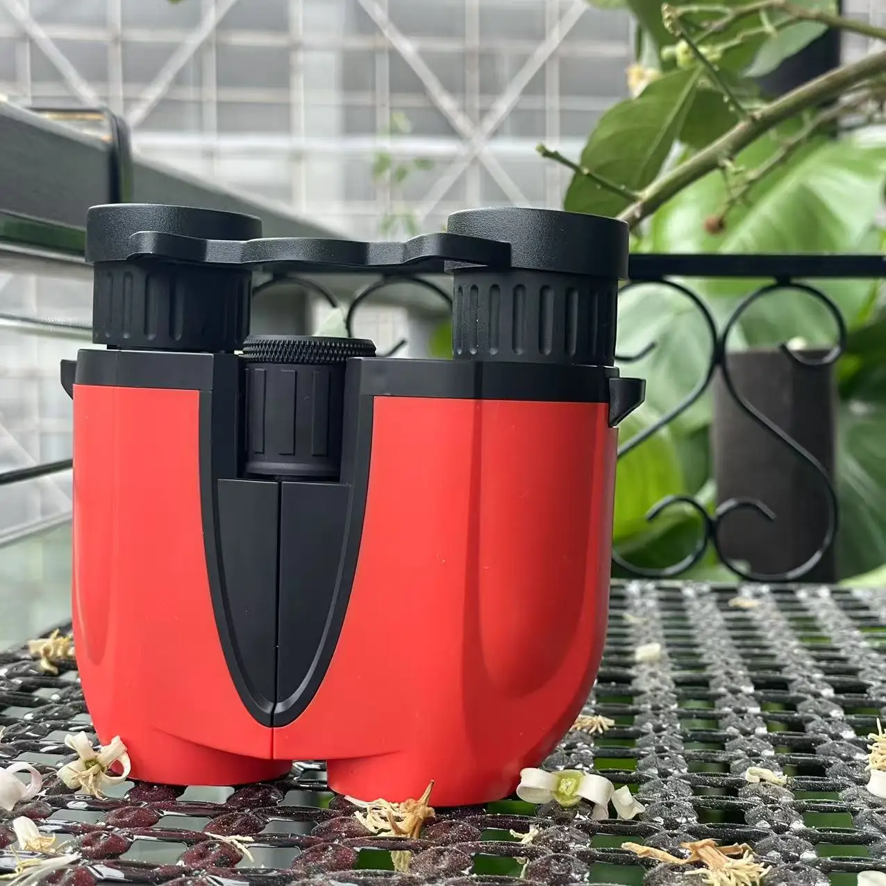 

All-in-One Adventure Kit: 10x25 High Powered Binoculars for Adults | Super Bright BAK4 Prism, Waterproof | Includes Phone Adapte