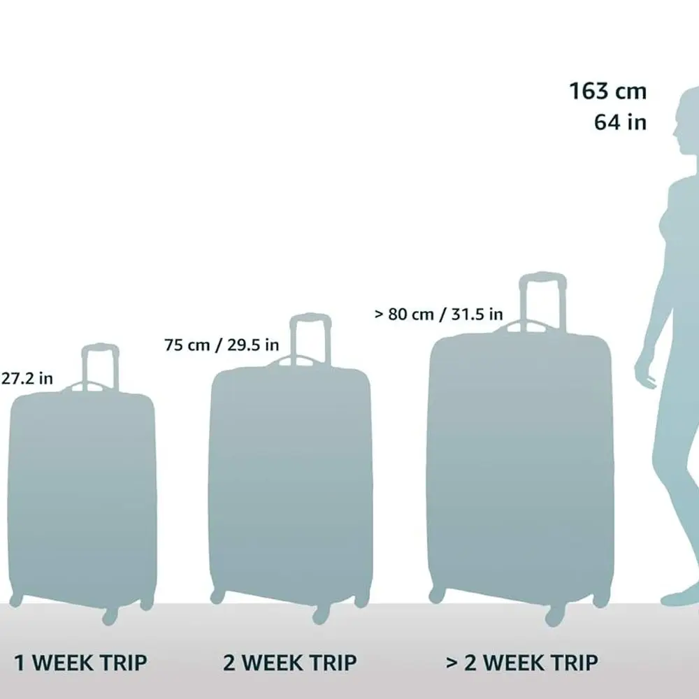 20-Inch New York Carry-On Hardside Spinner Luggage from Rockland