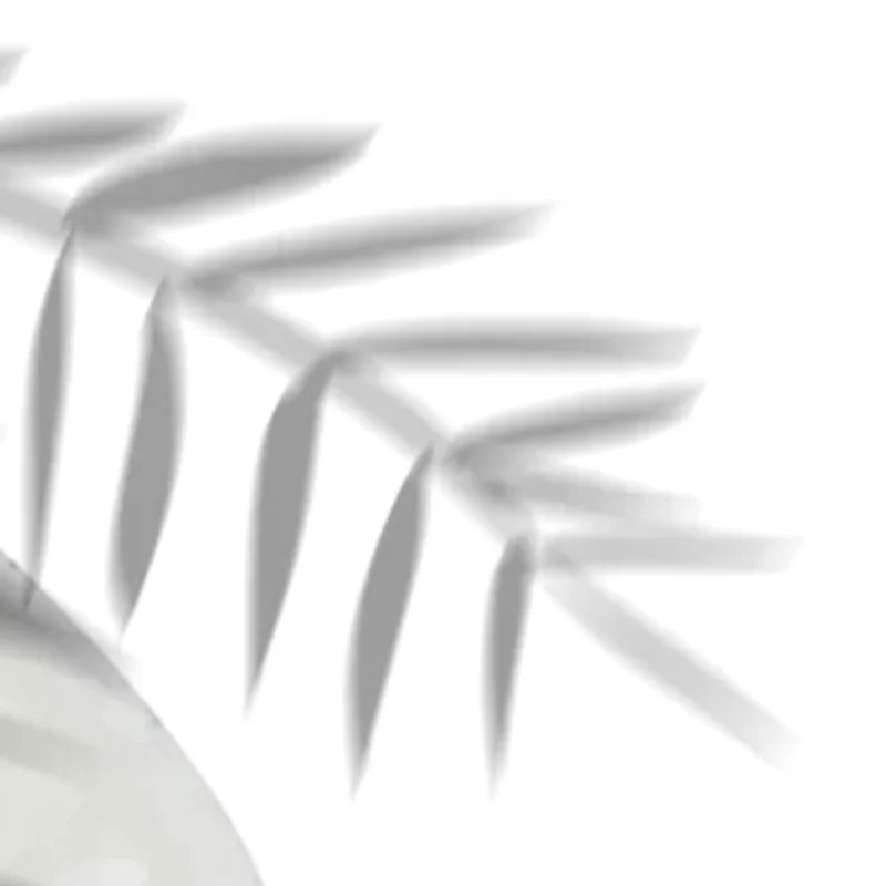 

895 875 Motor Rotor Carbon Brush Holder End Cap Cover Repair Parts For Cordless Screw Driver Drill Wrench Tools Parts