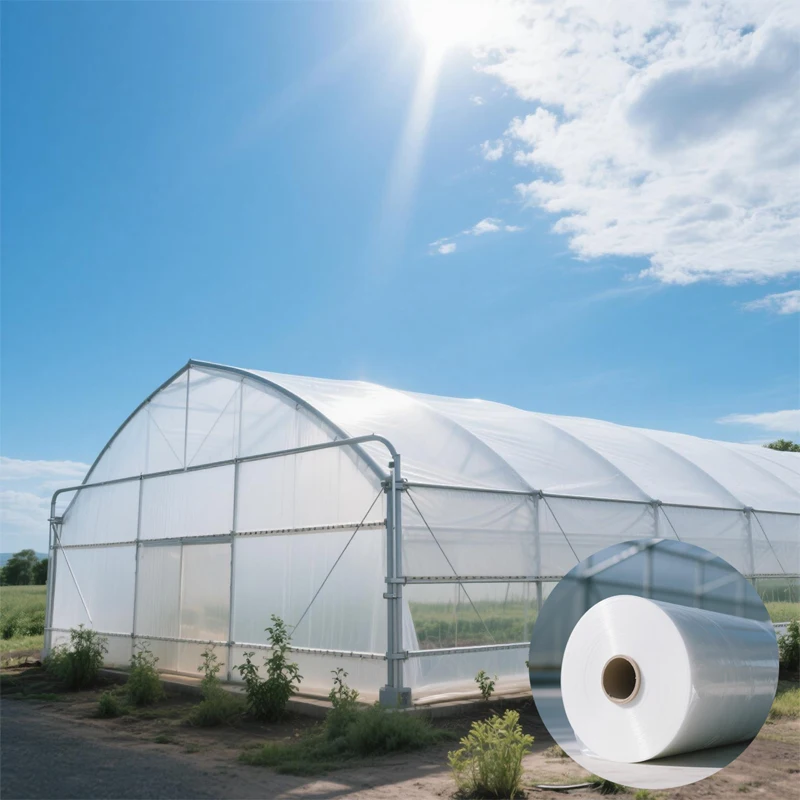 200 Micron Reinforced PE Greenhouse Film UV Resistant Anti-Drip Agricultural Plastic Cover for Tomato Vegetable Growing Shed