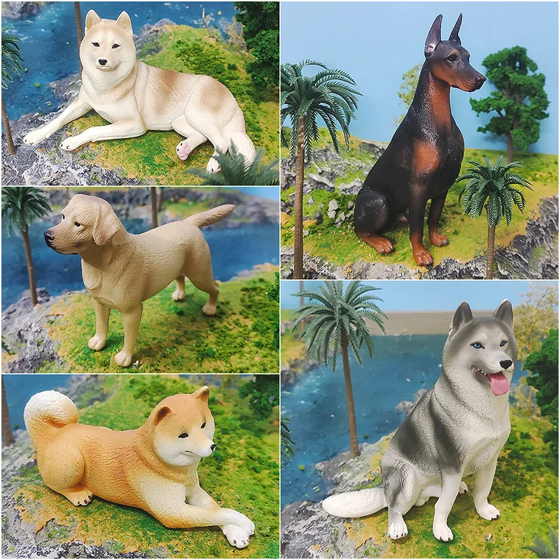 Simulazione cane animali da compagnia Doberman Labrador Teddy Shiba Inu Action Figures Husky Corgi Border Collie figurine Miniacture Toys