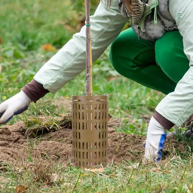 Protecteur de tronc d'arbre ventilé, protection de plantes rondes, outils de protection de jardin, gaules d'écorce et vignes