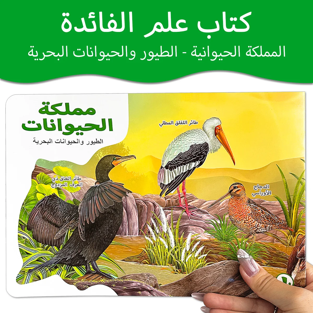 كتاب موسوعة الأطفال العربية عن الطيور والحيوانات البحرية