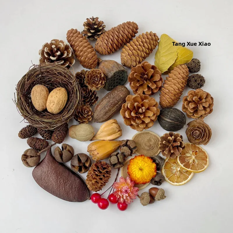 Flores secas, frutas y piñas, suministros para mascotas pequeñas, decoración, adornos naturales hechos a mano para jaula de conejos y hámster, decoración del hogar