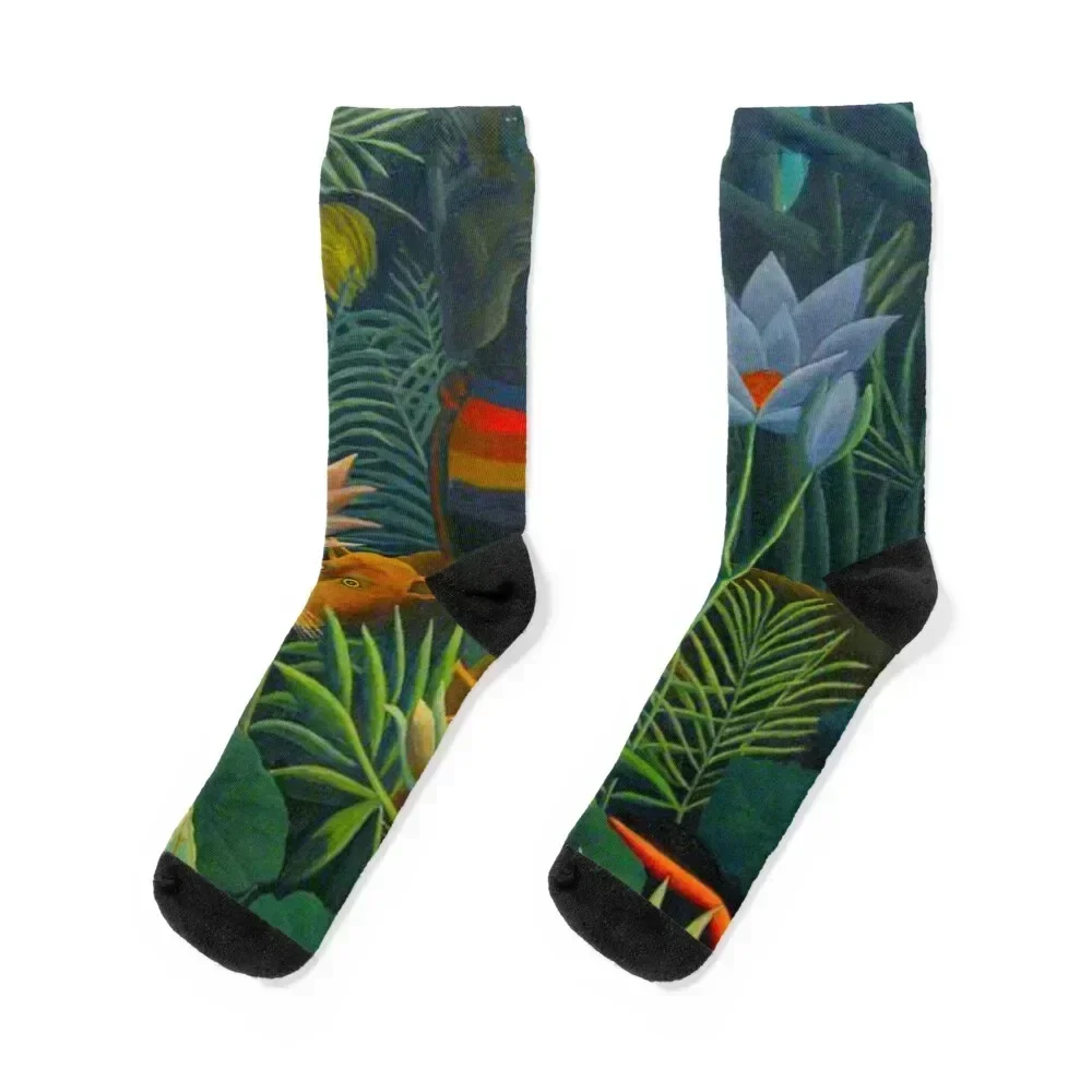 

Henri - Rousseau art, the dream Socks with print Stockings man colored sheer Socks For Man Women's