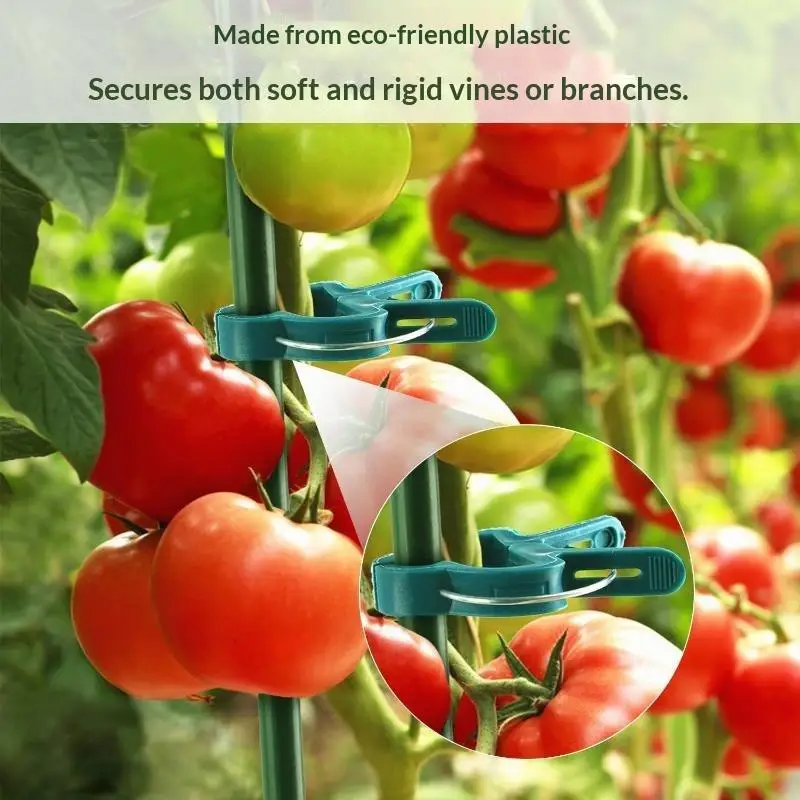 [Plant Fixed Clips Lightweight Reusable Plant Stem Support Tools 20/30/50Pcs for Greenhouse Balcony Potted Plant Vine Fixing]