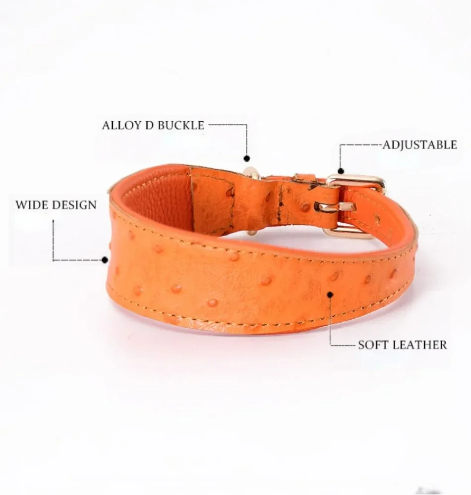 Wide Padded Leathers Dogs Collar, Puppy Collars, Comfortable Dog Accessories