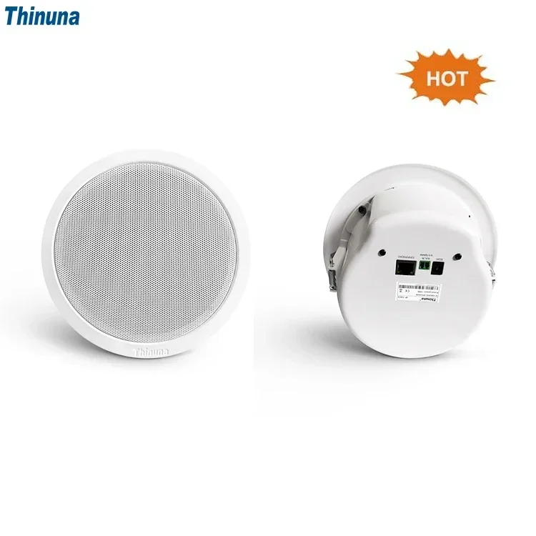 Thinuna IP-10CS III Public Address System 6