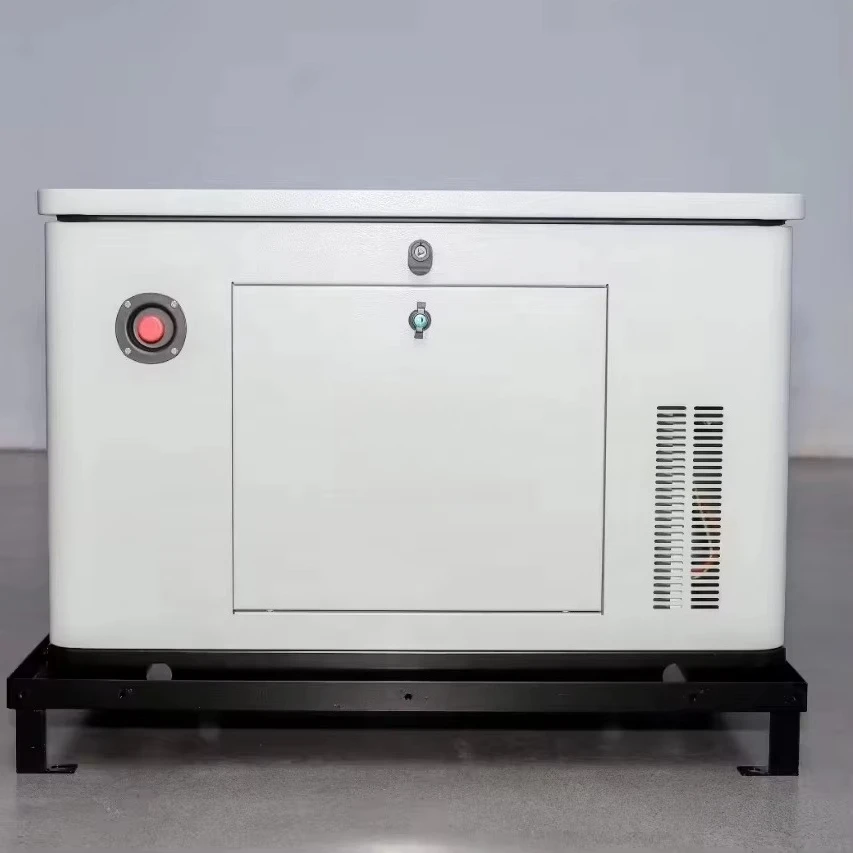 Silent CNG NG LPG Gas Generator 5kW 10kW 15kW Single/Three Phase Air Cooled Low Emission for Residential for Home