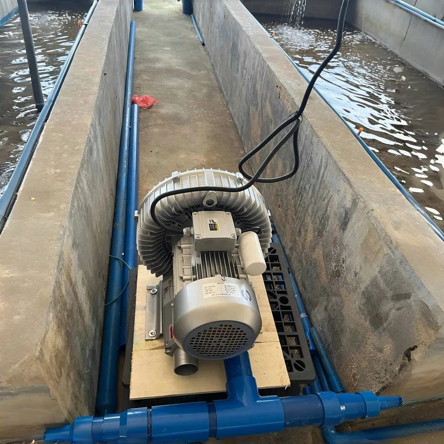 

Air Blower Pump Oxygen Fan Aerator Machine Aeration System for Aquaculture Tilapia Fish Shrimp Farming Pond