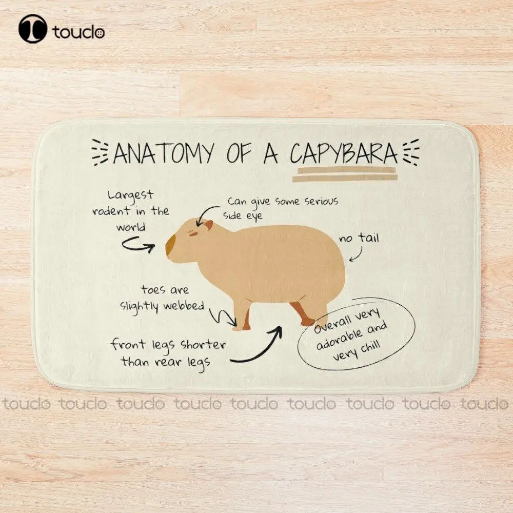 Anatomy Of A Capybara Bath Mat Bathrug For Tub, Shower, And Bath Room Cheap Bath Rug