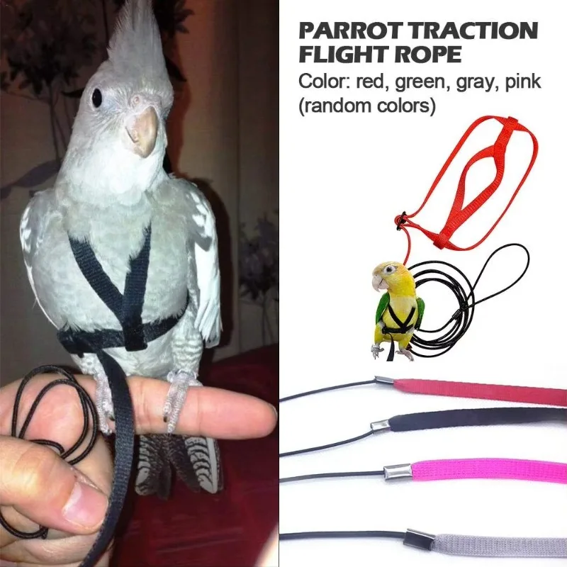 A Set for Small Parakeets Cockatiels Bird Parrot Bird Harness Leash Flying Traction Straps Band Outdoor Activities Flying Rope
