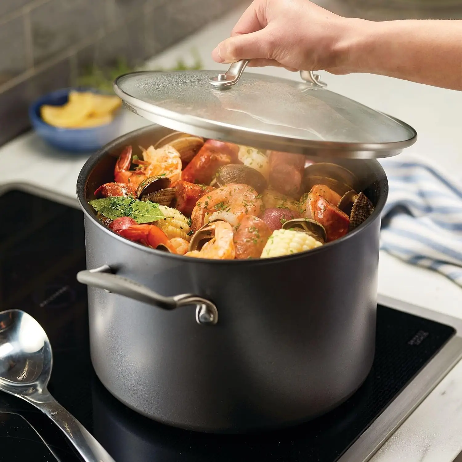 A1 Series Nonstick Induction Stockpot with Lid, 8-Quart, Graphite