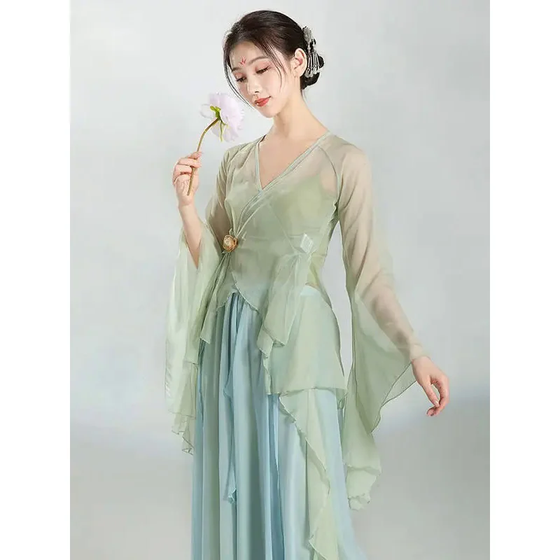 Chinese Classical Dance Dress Flowing Chinese Style Half Skirt Chiffon National Style Stage Performance Costume