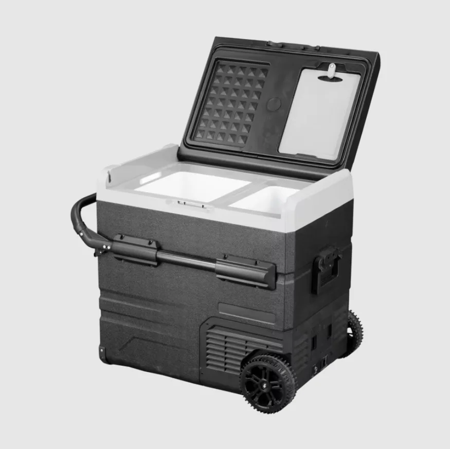 Portable Freezer 55L Box with Removable Door Competitive Price Mobile Cold Chain for Lab Supplies Refrigerator Equipment